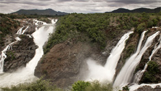 Bangalore - Mysore - Ooty - Kodaikanal - Coimbatore